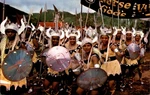 Trinidad Carnival Postcard Viking Band Port Of Spain Mike Roberts Chrome. Fixed Price $12.95.